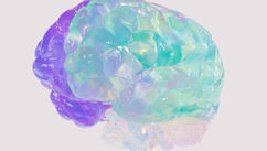 What If Everyone Is Neurodivergent? – Reclaiming the Full Spectrum of Being Human