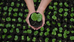 How Eco-Anxiety Can Become the Sustainability Skill We Need Most