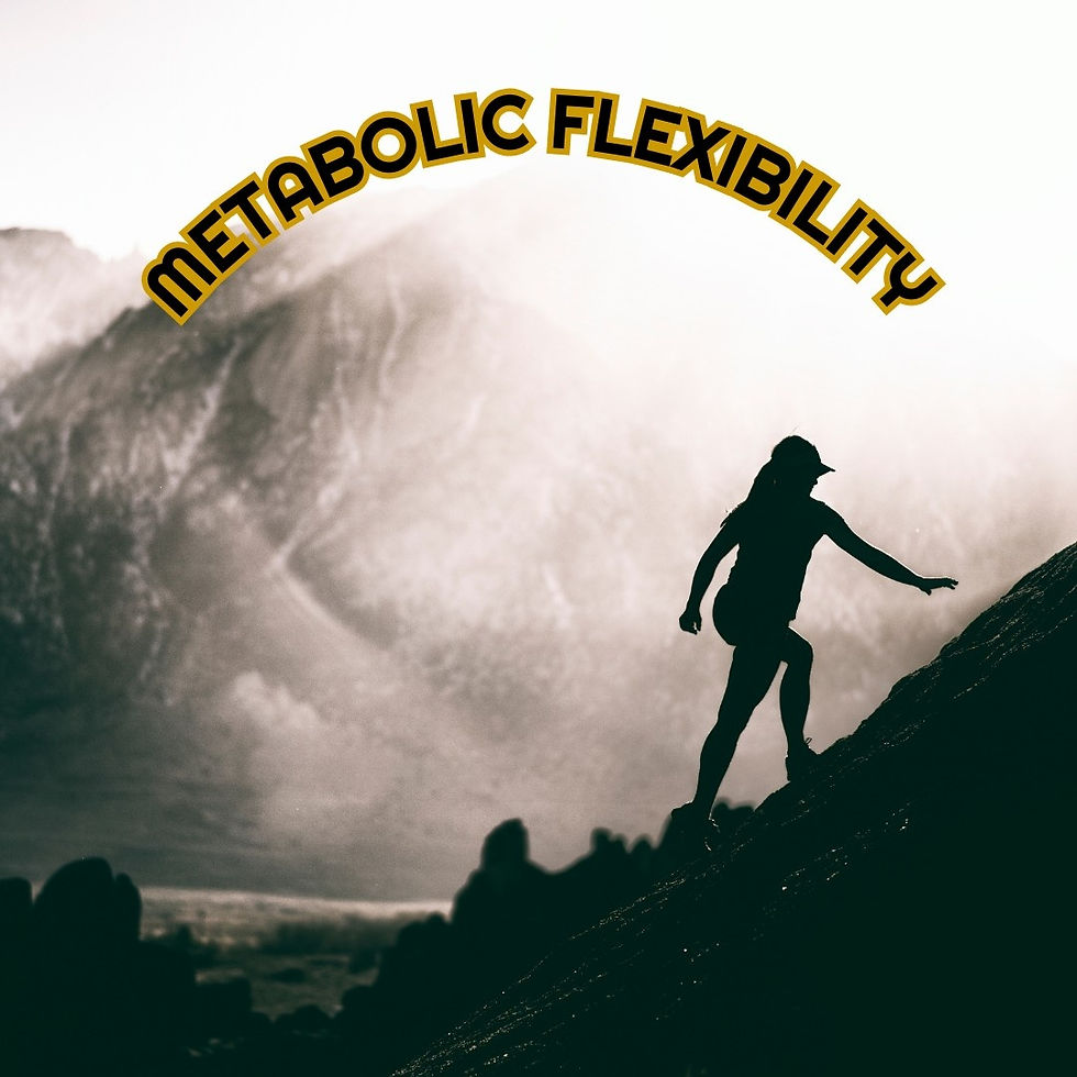 Silhouette of a person climbing a steep hill with misty mountains in the background. Text "Metabolic Flexibility" arches above.