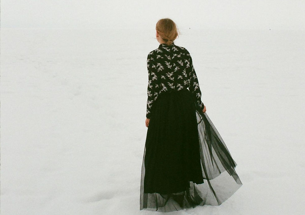 A person in a black dress with a bird pattern walks on a snowy plain, gently holding the skirt. The scene is serene and quiet.