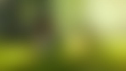 Yoga Vs. Psychology – What Is Fact And What Is Myth?
