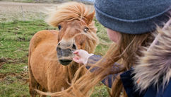Why Young People and Horses Taught Me More About Leadership Than Any Book