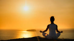 Homeostasis Isn’t Just for Plants, How’s Yours?