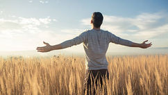 Differences Between Homeopathy and Psychotherapy