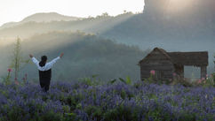 Soul Purpose in 2025 – Why It’s Less About Finding and More About Feeling
