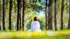 Healing Beyond Judgment and Why True Justice Requires the Courage to Rehabilitate