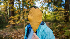 The Identity Shift and Why Becoming is the Real Key to Personal Growth