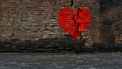 Can Adult Children of Grey Divorce Ever Truly Heal?