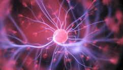 Healing Trauma and Restoring Youth With a Therapy That Reboots Your Biology