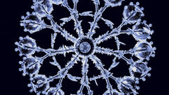 Tuning Back to Your Quantum Self and Unlocking Sound, Light, and the Five Layers of Consciousness