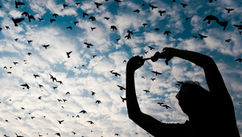 The Invisible Inheritance, Healing and Moving Beyond Generational Trauma
