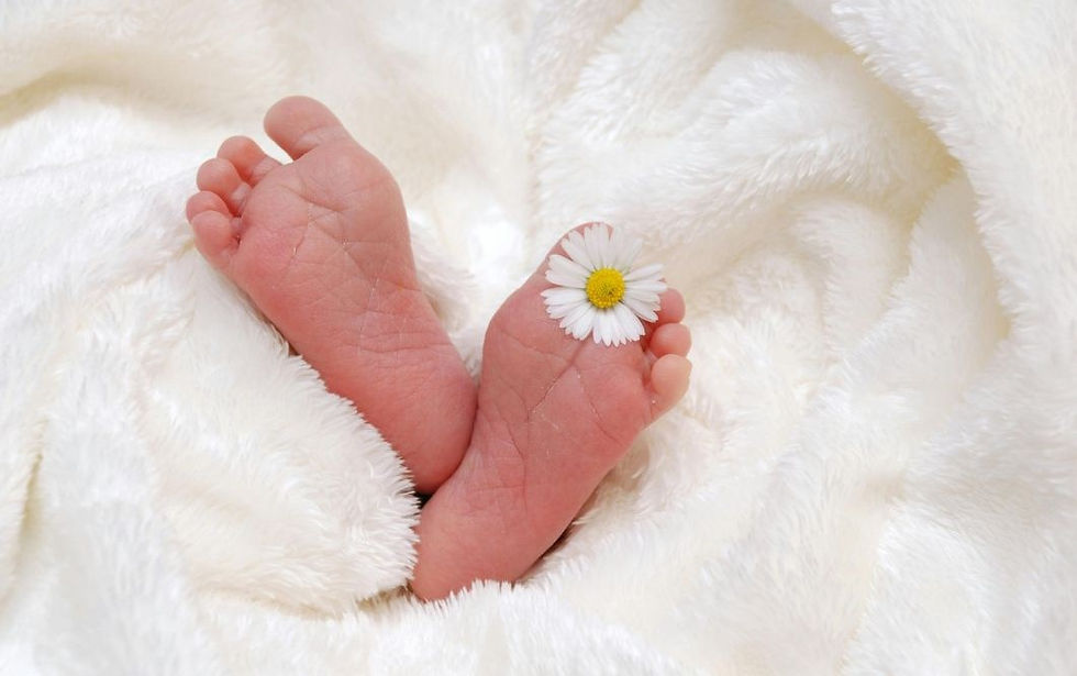 Baby feet with a daisy resting on one, nestled in soft white fabric. The scene is serene and gentle, highlighting tenderness.