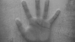 Rewiring Trauma – EMDR at the Intersection of Psychology and Neuropsychology