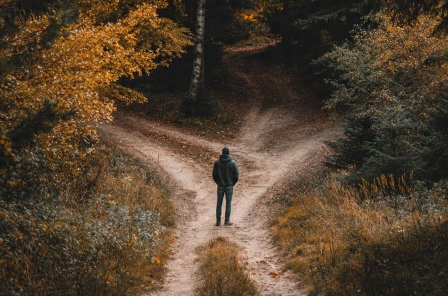 Lone person stands at a forest fork in autumn, surrounded by orange leaves and dark trees, facing the path ahead.