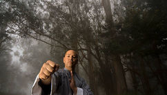 Discover the Power of Shaolin One Finger Zen Medical Qigong for Holistic Healing and Vitality