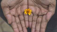 Unlock Your True Potential – 3 Steps to Balance and Success for Highly Sensitive People and Empaths 