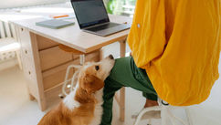 Do Wellbeing Programmes And New Work Models Actually Improve Work-Life Balance?