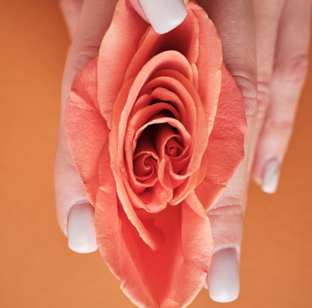 a red flower