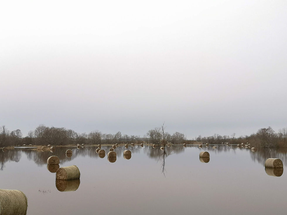 calm-landscape-reflection-peace