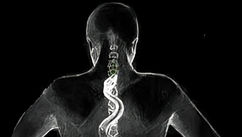 Why Your Spine is the Key to Whole-Body Healing
