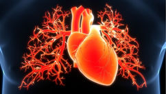 Healing Heartbreak and 7 Steps to a Whole-Hearted State