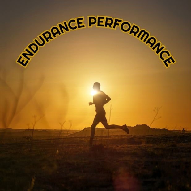Silhouette of a person running at sunset with "Endurance Performance" text above. Background features a scenic landscape. Warm tones.
