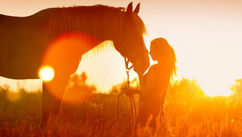 Embracing the Power of the Fire Horse Year in 2026
