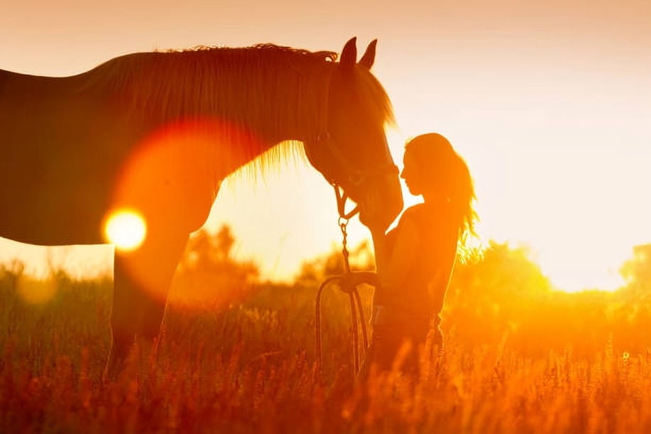 Silhouetted woman gently nuzzles a horse in a sunlit field at sunset, with warm orange glow and a calm, tender mood.