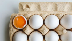 What If We’ve Been Lied To? The Protein Myth and Its Hidden Costs