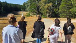 Forest Bathing – What It is, What to Expect, and Why It Matters in a Busy World