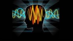 Can Music Really Rewire the Brain? – Science Says Yes and Here’s How