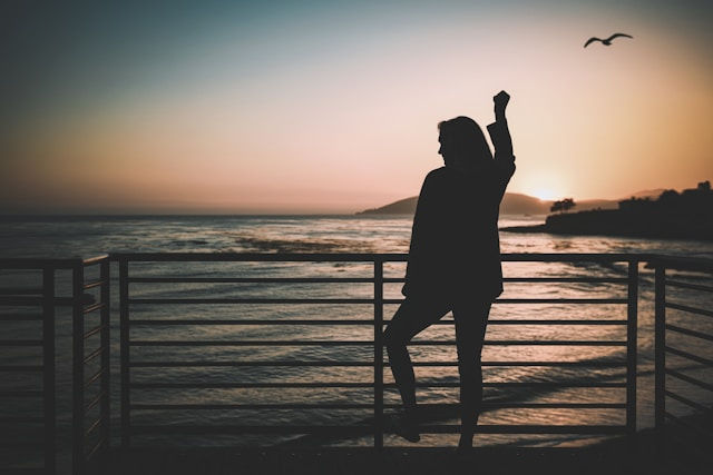 Silhouette of a person raising a fist on a pier at sunset, with a bird in the sky. Ocean waves and a pink-orange horizon in the background.