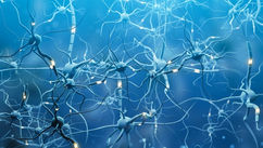 Gold Coast’s Symphony of Sound and Scalar Energy and How Vibrations Reshape Your Brain and Body
