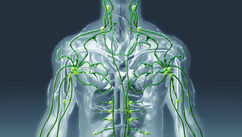 Stuck in Chronic Illness? – The Lymphatic System Might Be Your Missing Piece