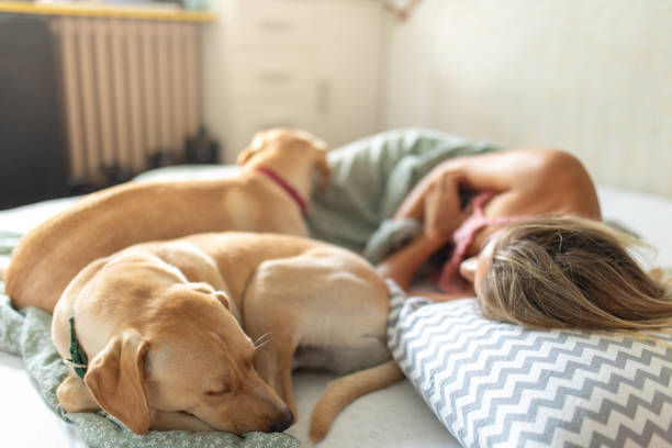 Woman and two dogs nap on a bed with chevron-patterned pillows. Soft lighting creates a cozy, peaceful atmosphere.