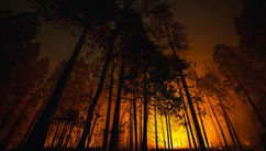 Are Energy Imbalances Contributing To California Wildfires?