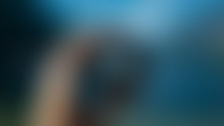You May Be Able to See, but Do You Have Vision?