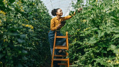 Sustainable Entrepreneurship – A Force For Economic Change