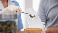 Legal, but Not Equal – Why Ethnic Minorities Are Still Locked Out of the UK’s Medical Cannabis System