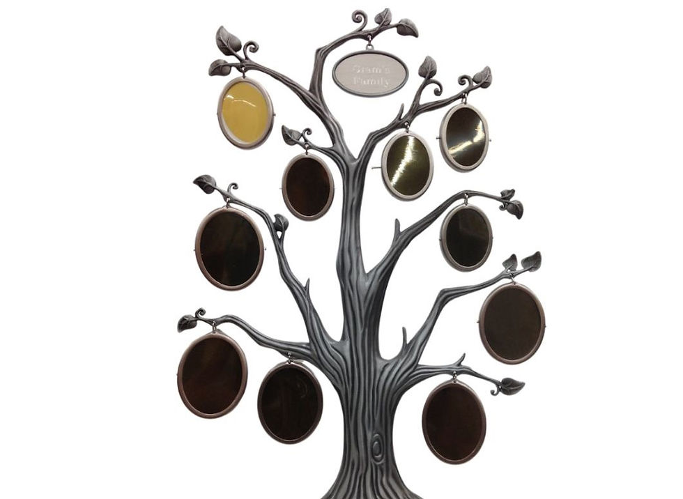 A decorative family tree with empty oval picture frames hanging from its branches