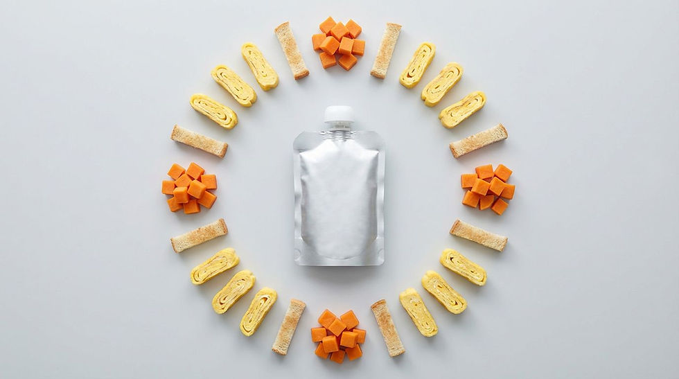 Silver pouch centered on a white background, surrounded by a circle of rolled omelets, breadsticks, and orange cubes, creating a geometric pattern.