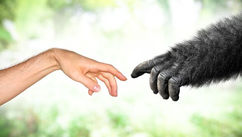 Compersion, Empathy, the Art of Sensual Massage and Reclaiming Intimacy Through Touch