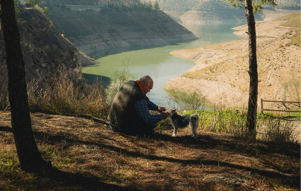 Elderly man crouches petting a small dog on a wooded overlook above a green reservoir and rocky canyon.