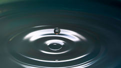 3 Ways That Leaders Can Nurture Conflict Resilience in Their Organization