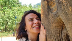 Beyond Classic Pet Therapy – Where Wild Animal Interaction Redefines Psychology