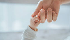 A World Without Birth