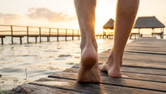The Epicurean Path to True Fulfillment That Goes Beyond Materialism and the Economy