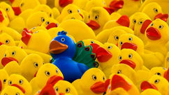 The Only One in the Room – Being a Minority in Counselling and Psychotherapy