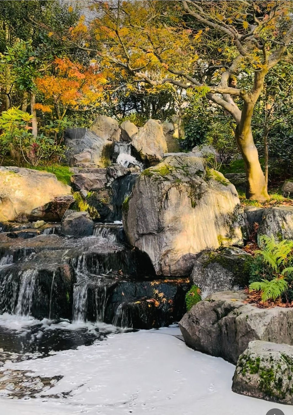 Small waterfall flows over mossy rocks surrounded by autumn trees with yellow and orange leaves, creating a serene, natural scene.