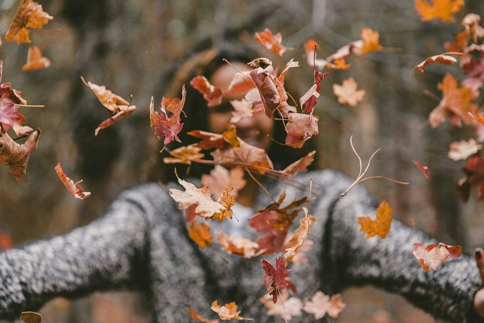 Person in a sweater throws autumn leaves in the air, creating a playful, joyful scene. Blurred forest background, warm colors.